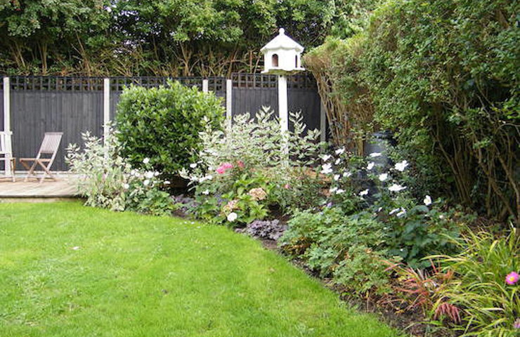 Lawn reshape and border design for a family garden