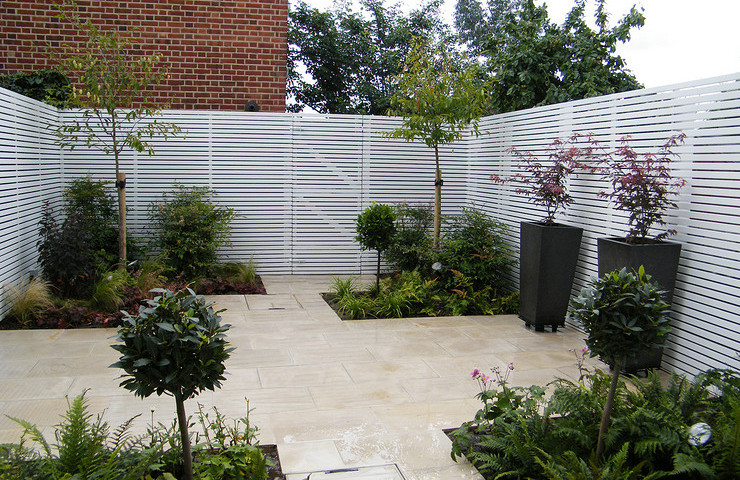 Contemporary town garden Wimbledon