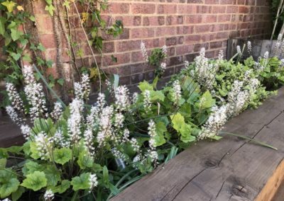 Raised beds in courtyard garden