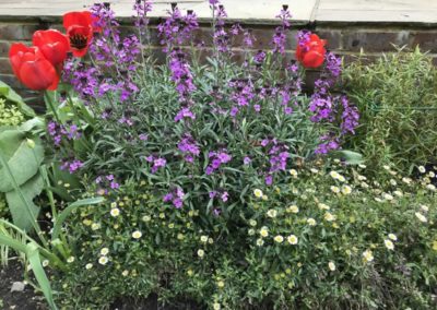 Border in front of patio