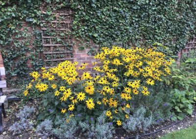 Large family garden