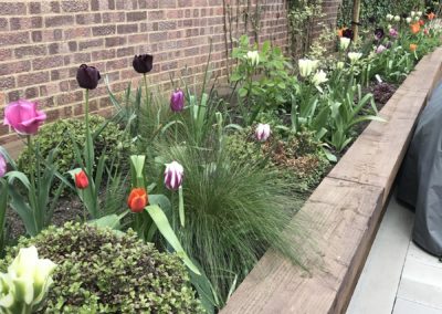 Raised beds in courtyard garden