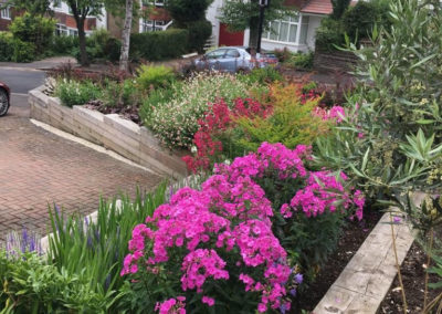 Front garden with raised beds