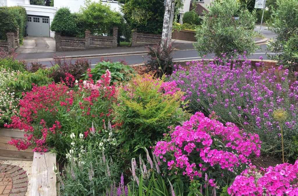 Front garden with raised beds-Coulsdon