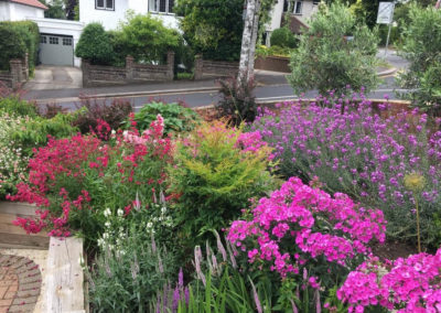 Front garden with raised beds