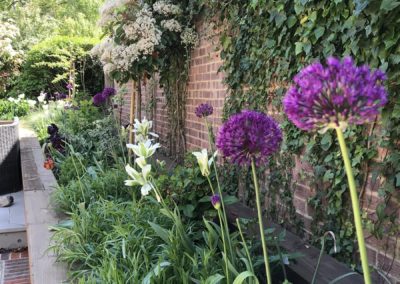 Raised beds in courtyard garden