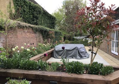 Raised beds in courtyard garden