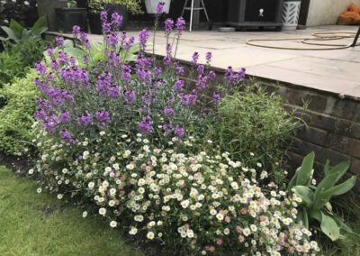 Border in front of patio