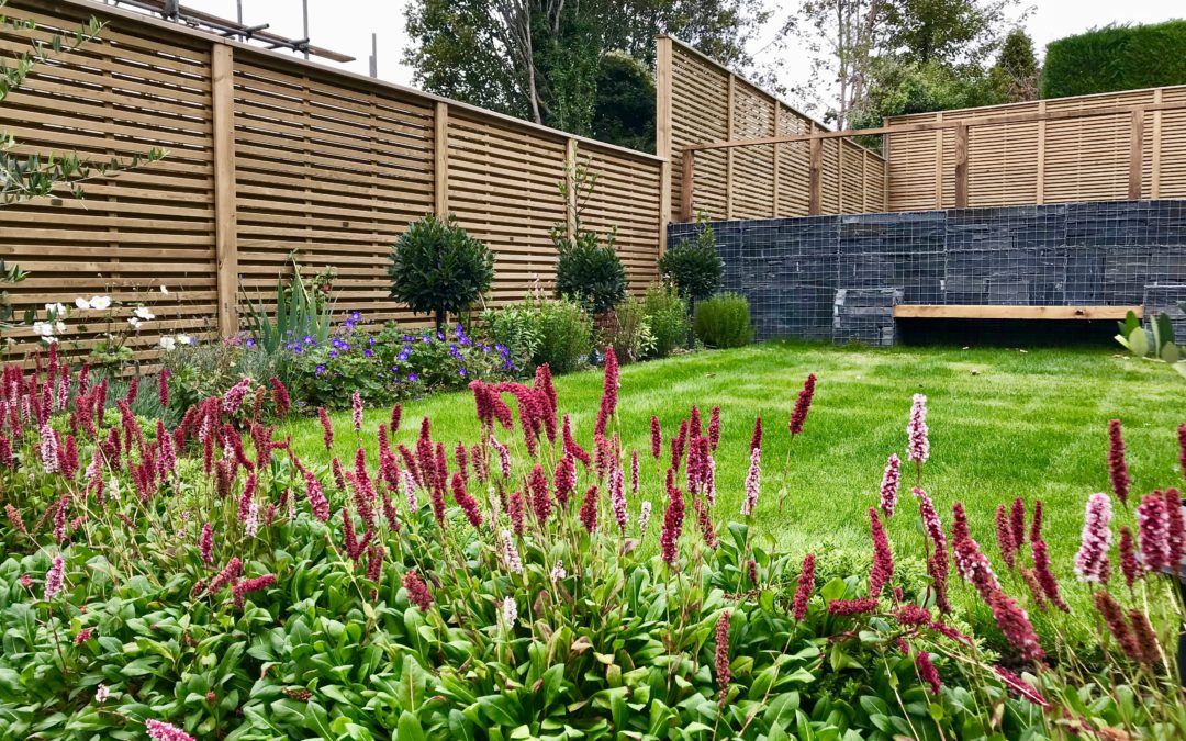 Terraced Family Garden-Ewell