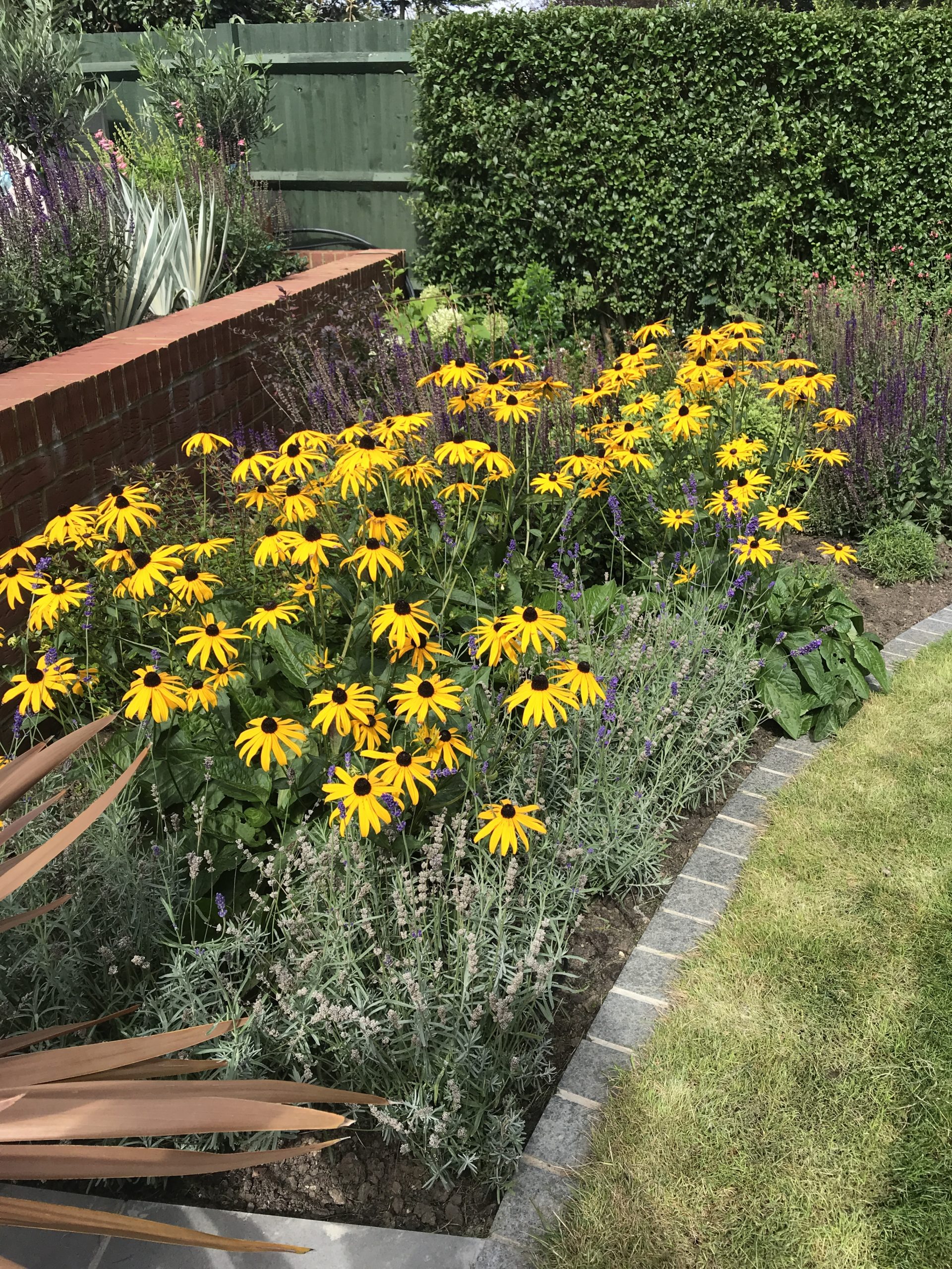 Large family garden