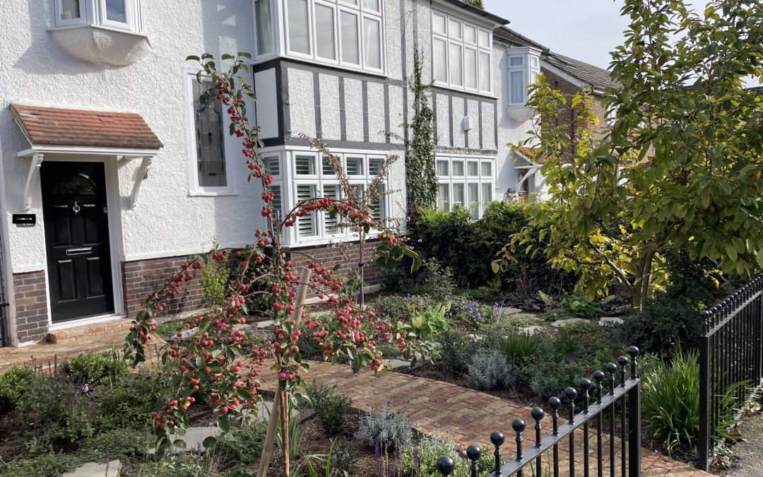 Front garden -Wimbledon