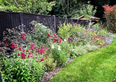 Colourful, wildlife friendly planting replaced dying hedges