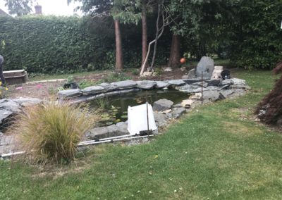 Old pond needing renovation