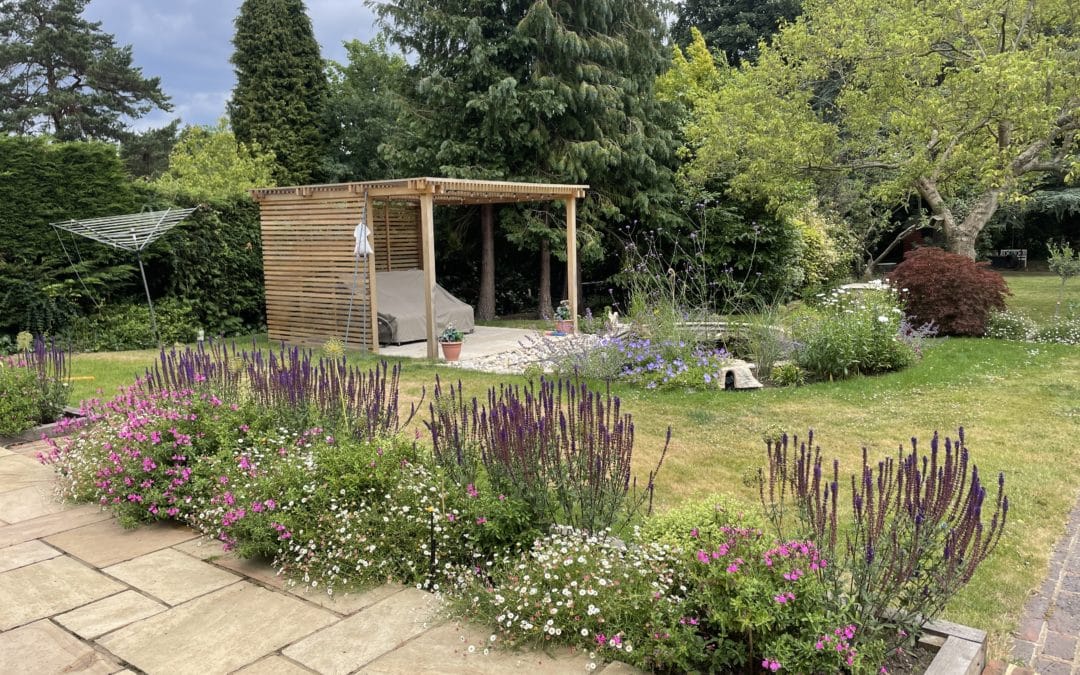 Family garden with a pond, Sutton, Surrey