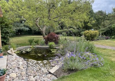 New planting around the pond