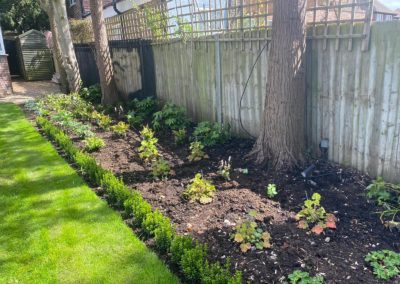 Newly planted borders