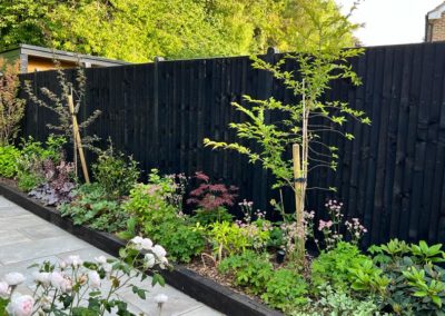Shade loving plants stand out against the black fencing