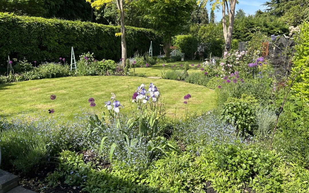 Soft curves in a plant lovers garden- Banstead