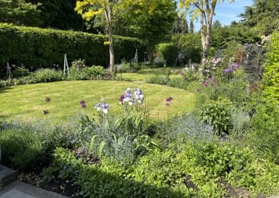 Soft curves in a plant lovers garden- Banstead