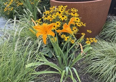 The orange and yellow planting contrasts beautifully with the corten steel container.