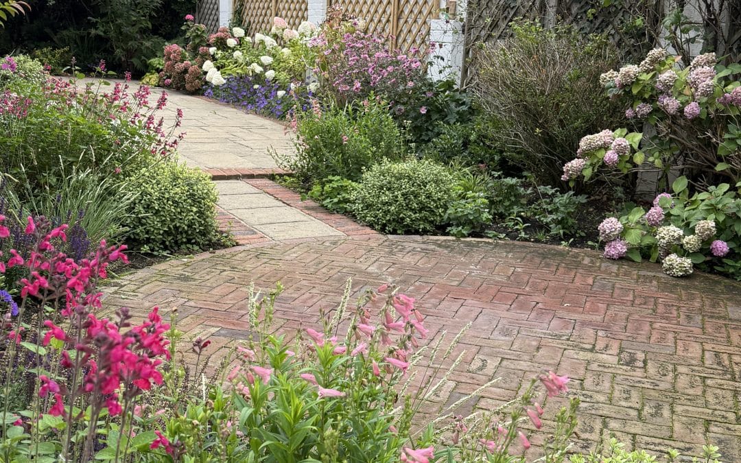 Plant lovers family garden – Ewell, Epsom