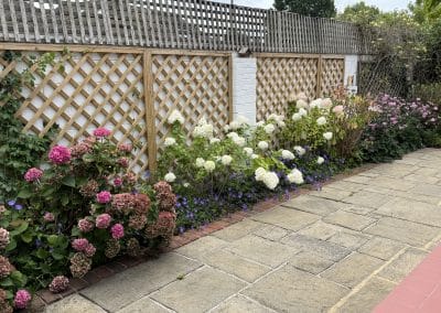Garden design services surrey