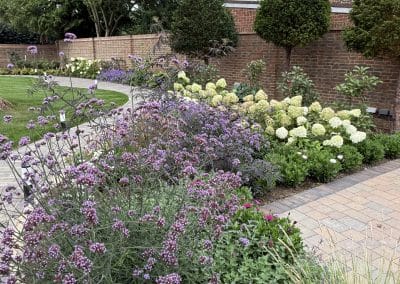 Planted border 4 months after planting. Hydrangeas, Verbenas, Persicaria Darjeeling Red and Geranium Bloom me Away were used in the plant design.