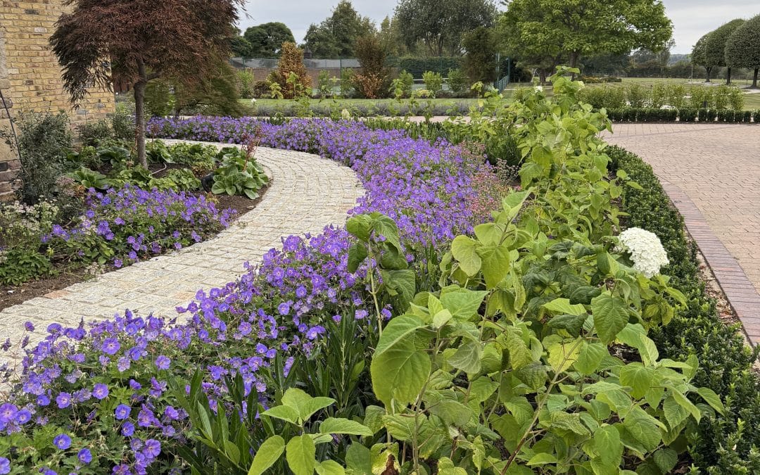 Can AI design your garden?
