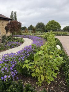 Garden Design in Reigate