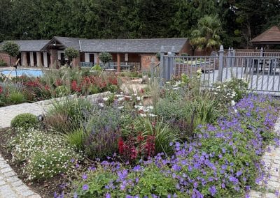 Red and purple plants were introduced to the borders near the house, making the plant design stand out.