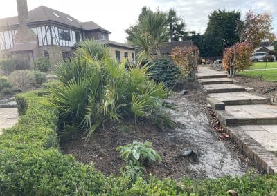 The garden before it was landscaped. The planting was outdated and tired.