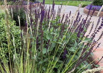 Soft grasses and wildlife friendly planting give a beautiful foreground in the garden design