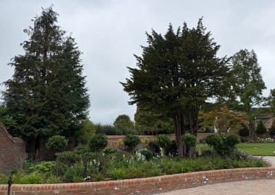 New edging and planting design in a large border