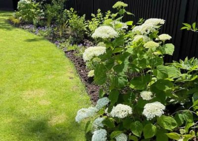 Plant border creation and lawn reshape- Kenley
