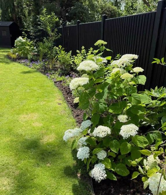 Plant border creation and lawn reshape- Kenley