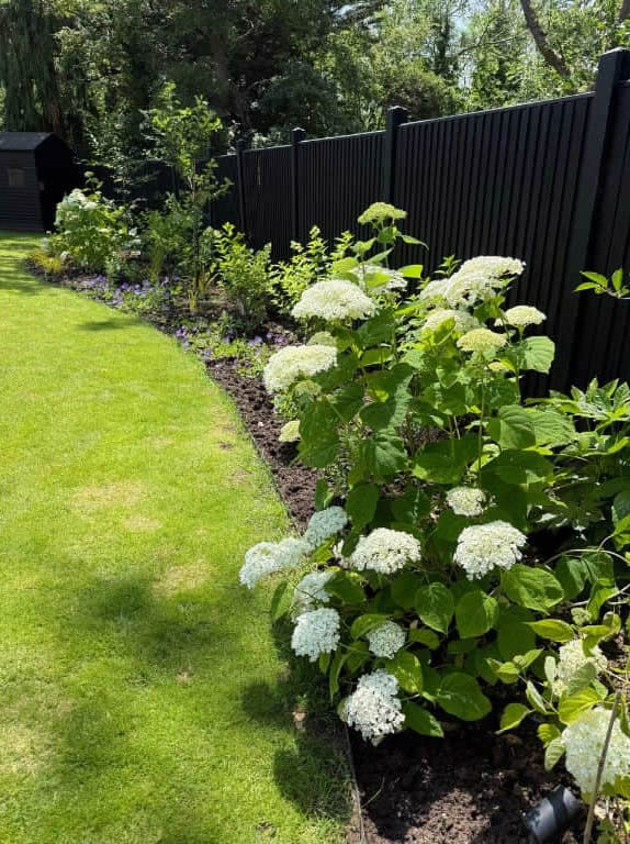 Border creation and lawn reshape for a new build garden. A plant design was created to match the heavy clay soil.